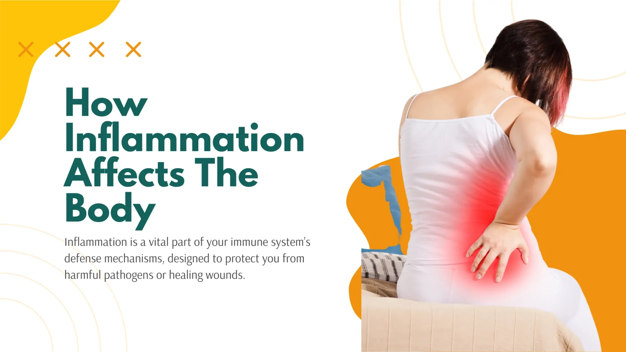 How Inflammation Affects The Body Blog Banner