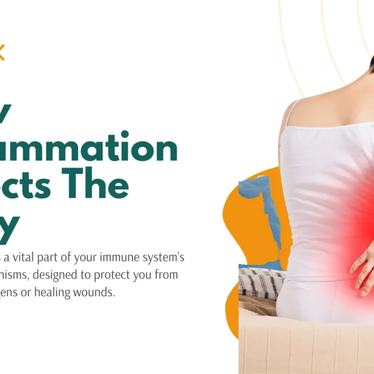 How Inflammation Affects The Body Blog Banner